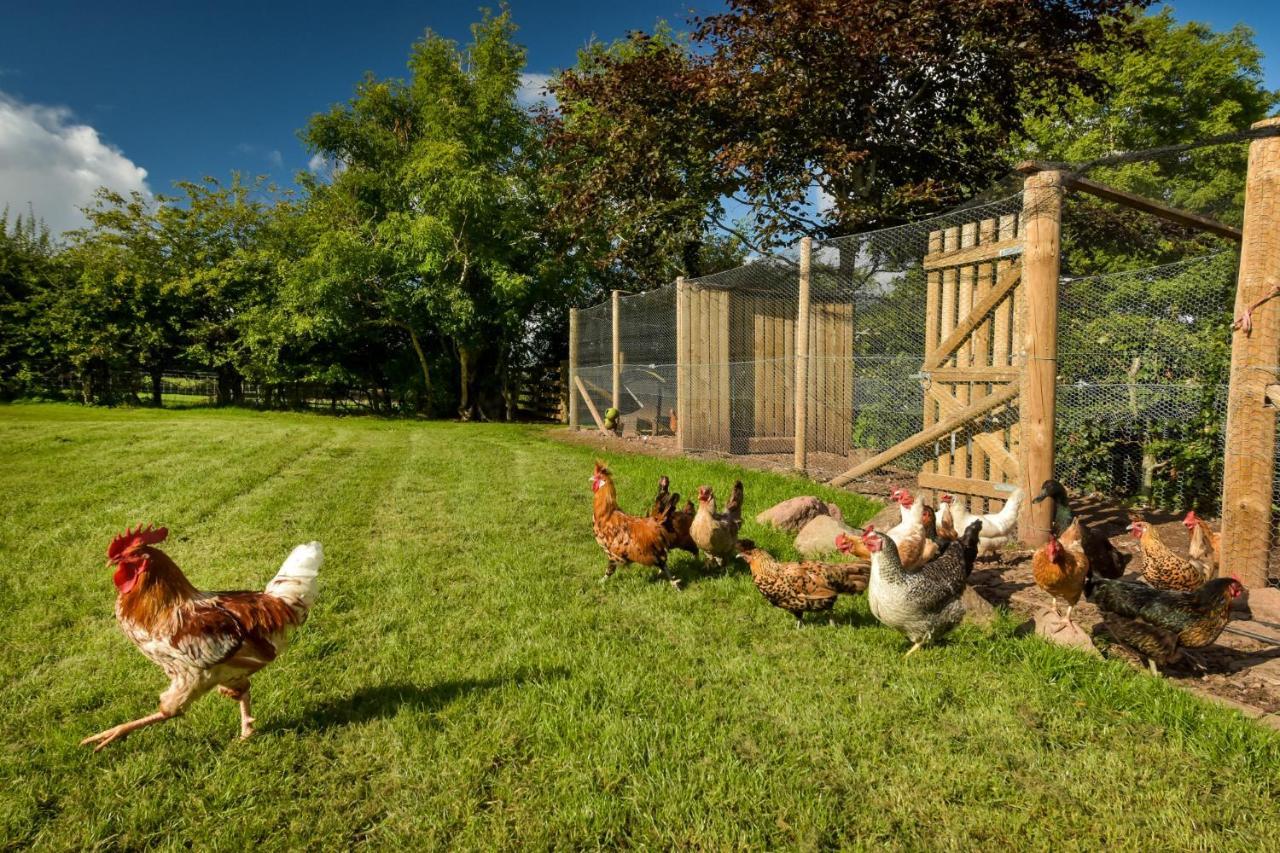 The Studio At Pitmeadow Farm Dunning ภายนอก รูปภาพ